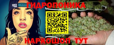 герыч Бийск