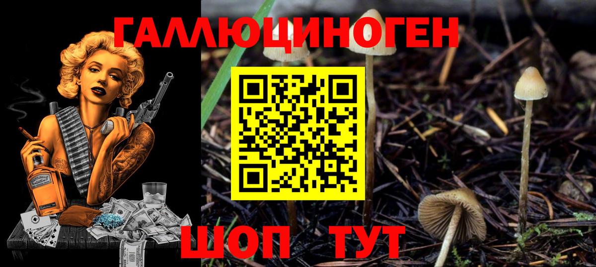 Галлюциногенные грибы мицелий Великий Устюг